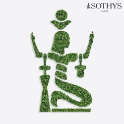 Sothys Organics Radiance mask 50 ml.