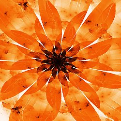 Perfect shape youth serum 