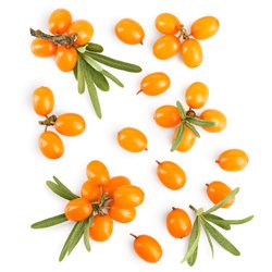  Renovative night cream 50 ml.